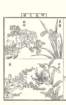 photo5_small.jpg