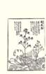 photo14_small.jpg