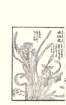 photo21_small.jpg