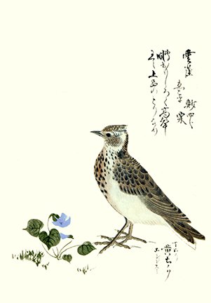 photo18.jpg