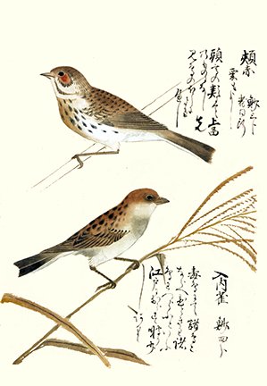 photo7.jpg