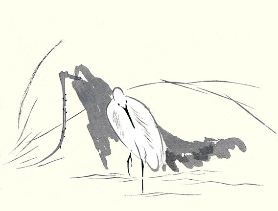 photo17.jpg