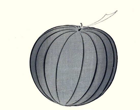 photo4.jpg