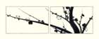 photo15_small.jpg