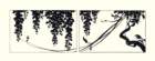 photo16_small.jpg