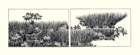 photo20_small.jpg