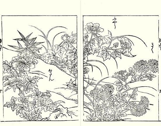 photo26.jpg