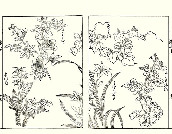 photo29.jpg