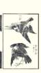 photo11_small.jpg