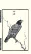 photo15_small.jpg