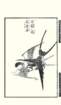 photo16_small.jpg