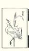 photo20_small.jpg