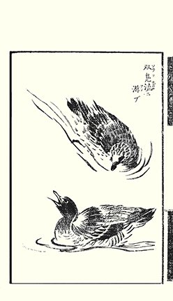 photo22.jpg
