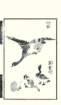 photo23_small.jpg