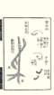 photo3_small.jpg