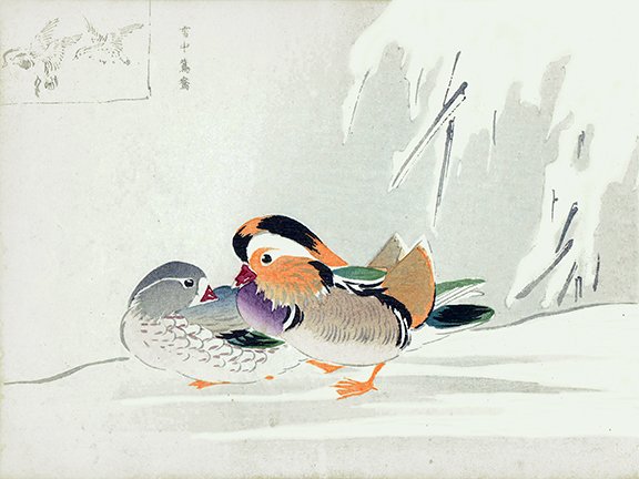 photo.jpg