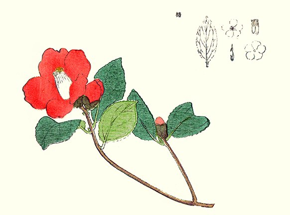 photo17.jpg
