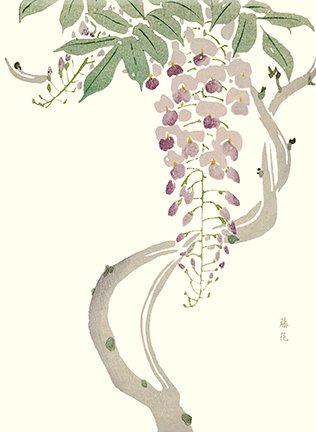 photo6.jpg