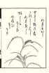 photo104_small.jpg