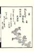 photo132_small.jpg