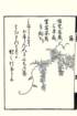 photo13_small.jpg