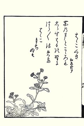 photo17.jpg