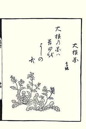 photo20.jpg