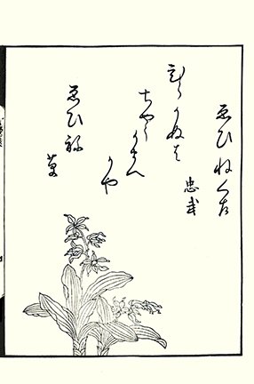 photo22.jpg