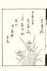 photo23_small.jpg