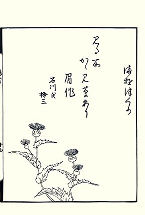 photo24.jpg