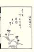 photo24_small.jpg