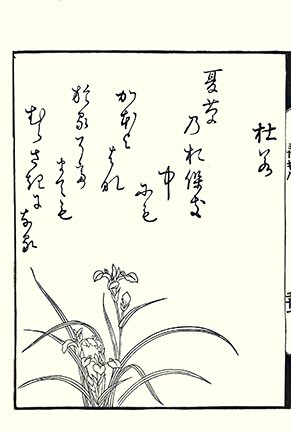 photo29.jpg