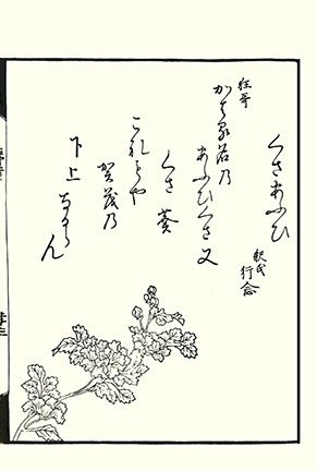 photo32.jpg