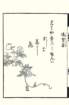 photo33_small.jpg