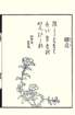photo36_small.jpg