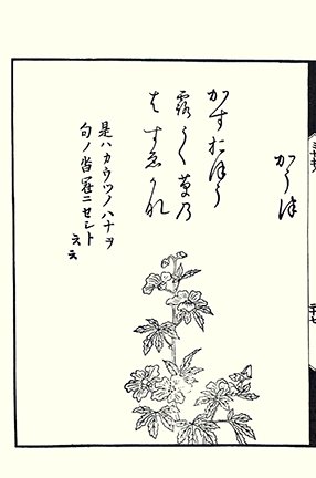 photo41.jpg