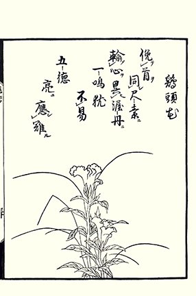 photo46.jpg