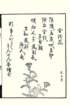 photo48_small.jpg