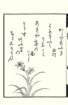 photo49_small.jpg
