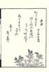 photo50_small.jpg