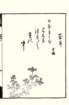 photo5_small.jpg