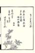 photo68_small.jpg