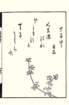photo70_small.jpg