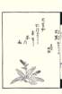 photo73_small.jpg