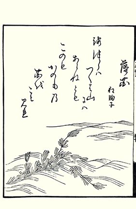 photo87.jpg