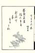 photo8_small.jpg