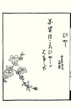 photo97.jpg