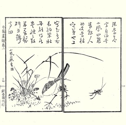photo7.jpg