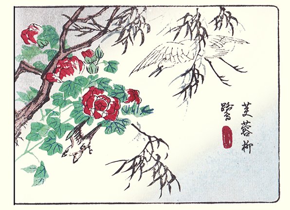 photo22.jpg