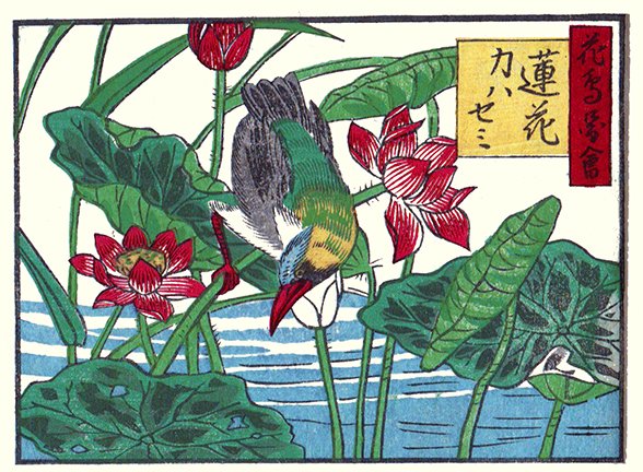 photo7.jpg